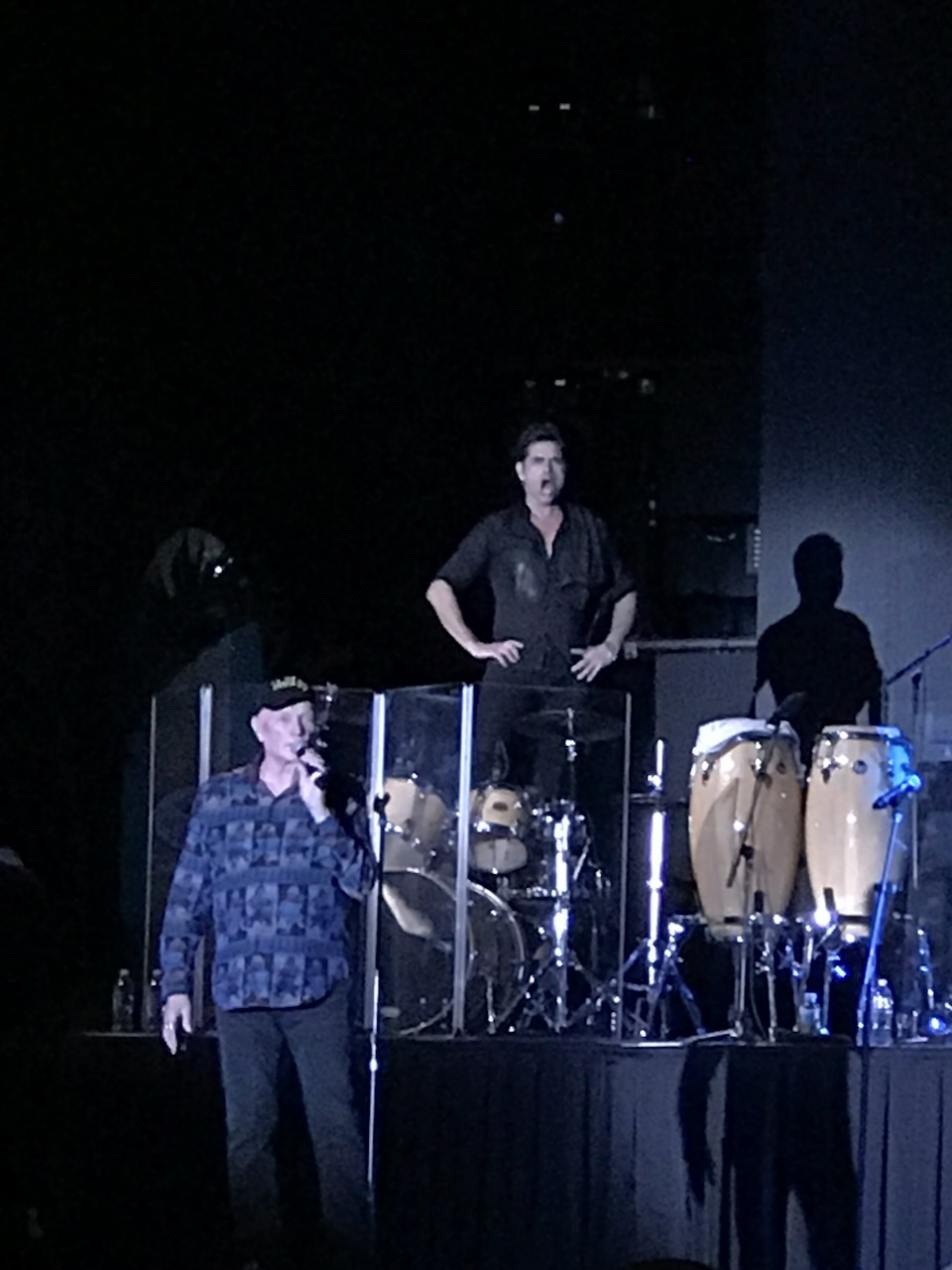 The Beach Boys - Universal Studios Mardi Gras