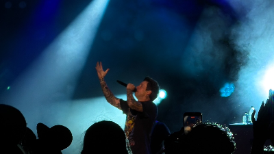 Simple Plan - Epcot Garden Rocks